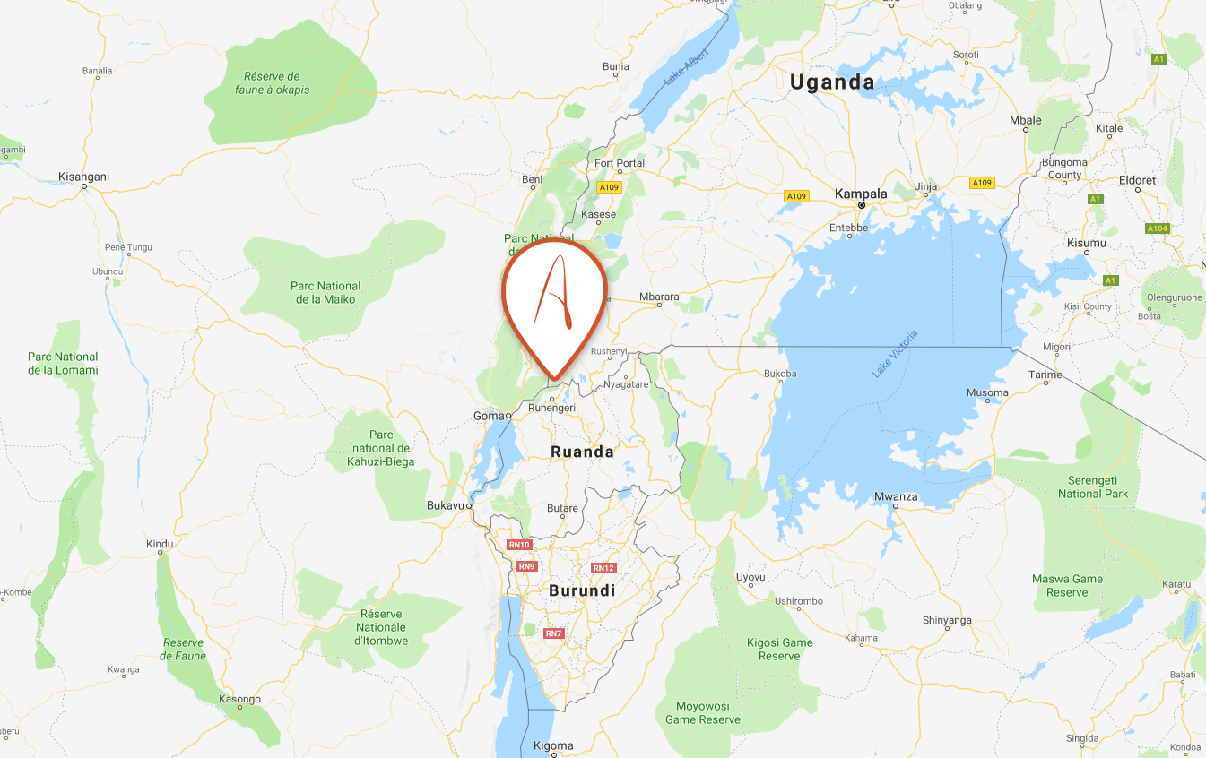 Map-Gorilla-Tracking Map-Gorilla-Tracking