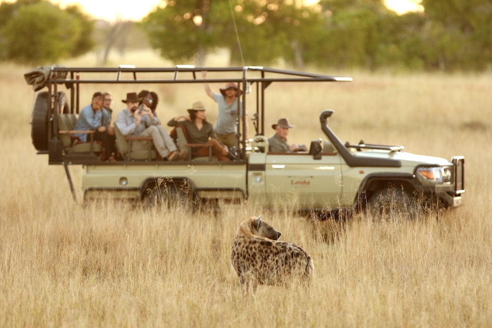 blooming-desert-elela-africa-hyena-safari-vehicel blooming-desert-elela-africa-hyena-safari-vehicel
