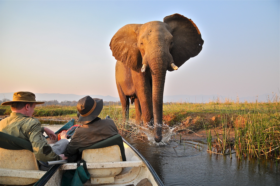 elela-africa-kanu-safari-elefant-simbabwe elela-africa-kanu-safari-elefant-simbabwe