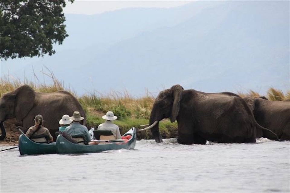 elela-africa-kanu-safari-sambesi-mana-pools-kanu elela-africa-kanu-safari-sambesi-mana-pools-kanu