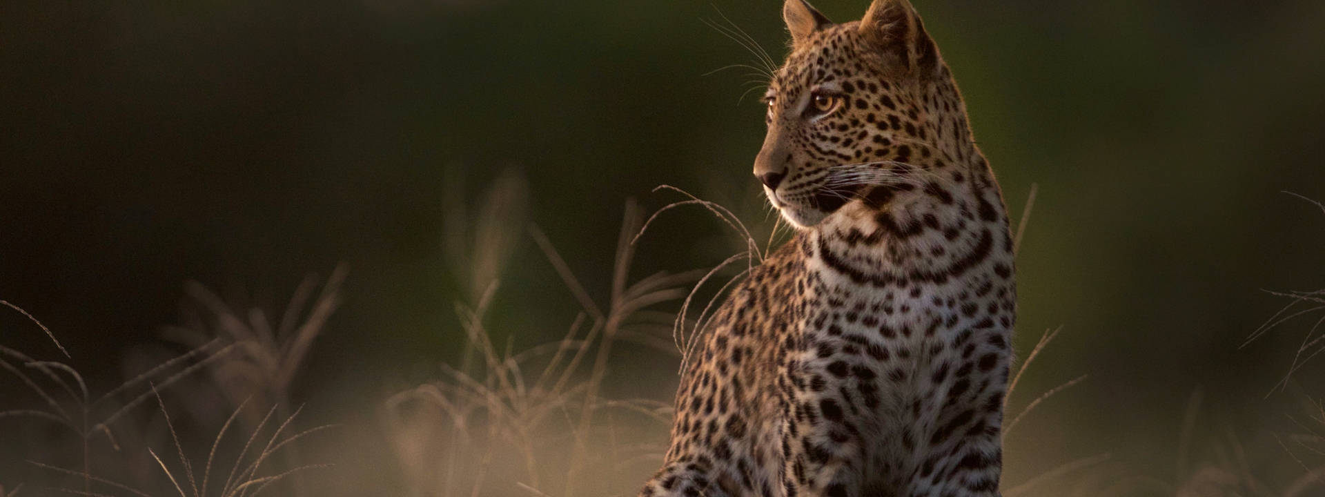 noerdliche-highlights-botswana-mobile-safari-elela-africa-titel-1 noerdliche-highlights-botswana-mobile-safari-elela-africa-titel-1